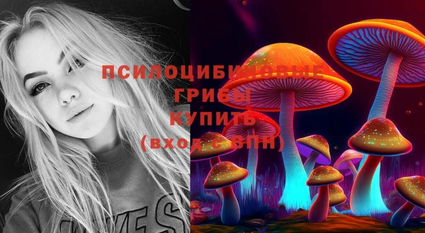 мяу мяу мука Нефтекумск