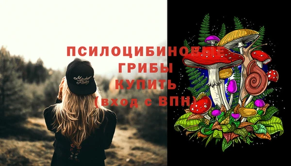 мяу мяу мука Нефтекумск