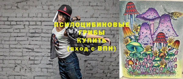 гашиш Дмитриев
