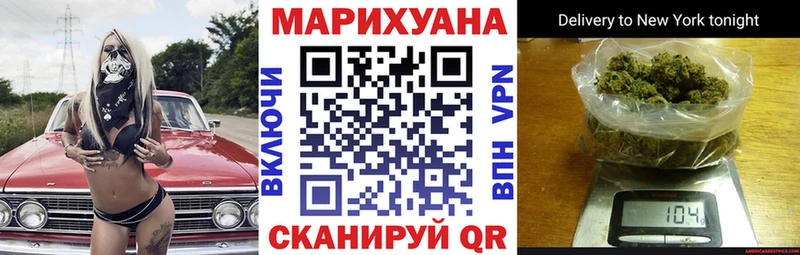 как найти закладки  Приозерск  Конопля сатива 